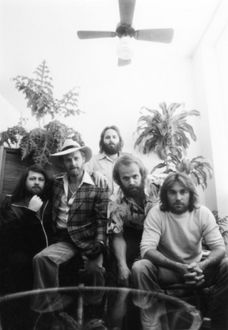 The Beach Boys
