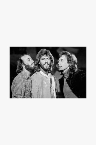 The Bee Gees, Live, 1979