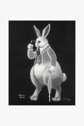 Inspector Rabbit