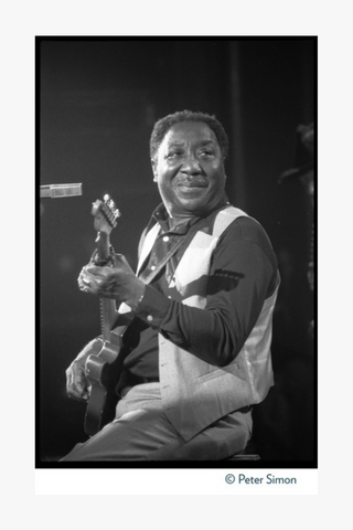 Muddy Waters, With Guitar in Concert, New York City, 1981