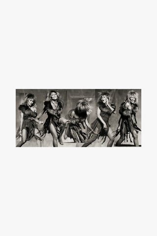 Tina Turner, Fur Sequence, 5 Figure, 1983