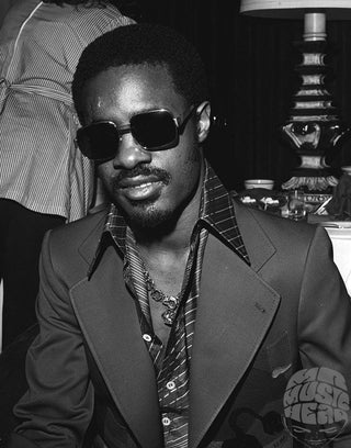 Stevie Wonder