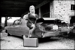 Dolly Parton, Tennessee, 2009