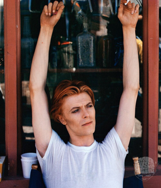 David Bowie, Fenton Lake, New Mexico, 1975
