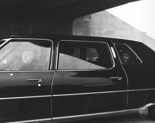 Peter Frampton by Richard E. Aaron