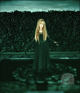 Stevie Nicks, Long Beach, 2001 by Dean Karr