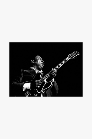 B.B. King, 1974