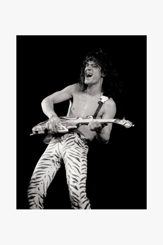 Eddie Van Halen, Van Halen, San Diego, 1984