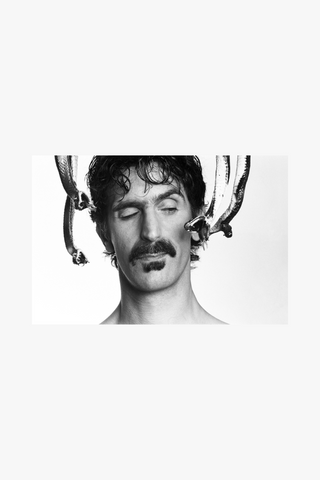 Frank Zappa, Snakes, 1979