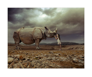 Rhino Kiss by Hugh Syme