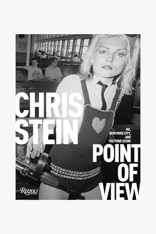 Point of View: Me, New York City, and the Punk Scene (Hardcover)