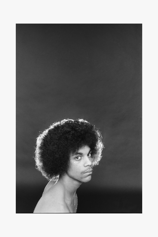 Prince, Portrait, 1977