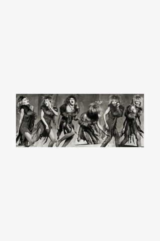Tina Turner, Bel Air Sequence, 1983