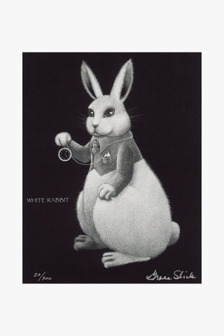 White Rabbit