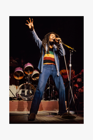 Bob Marley, The Wailers, 1980