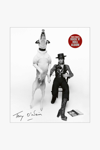 Terry O'Neill's Rock 'n' Roll Album (Hardcover)
